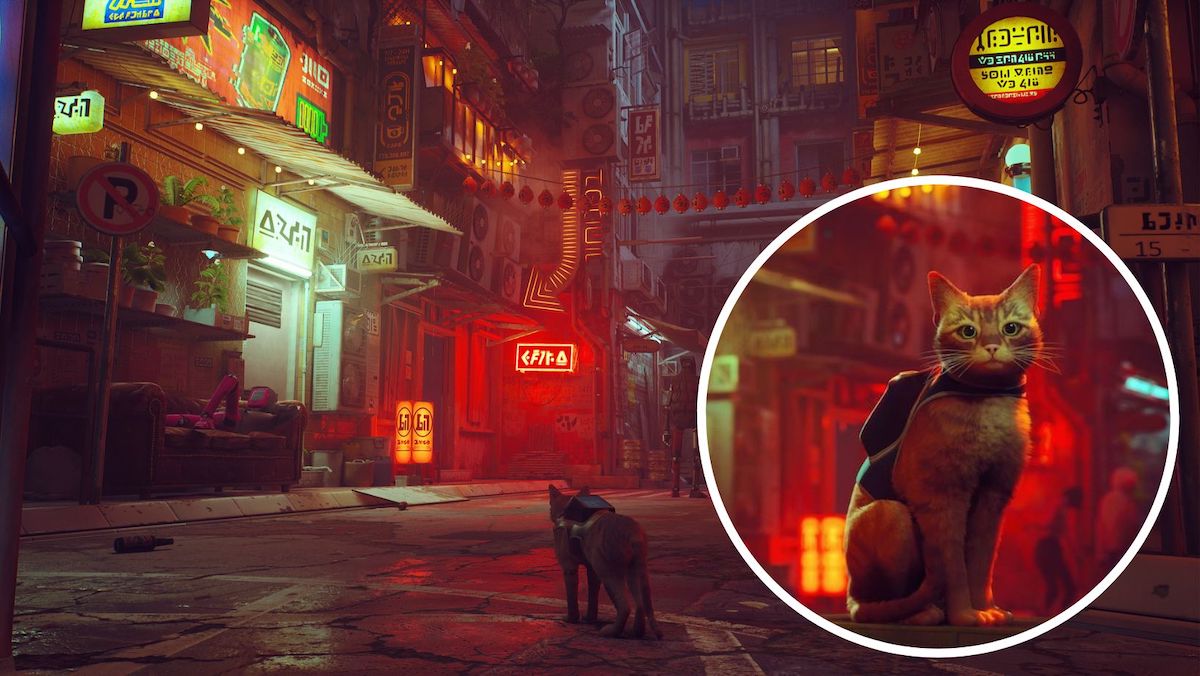 REVIEW Video game where you play a Stray cat is almost purrfect